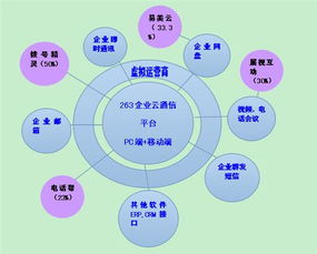 二六三 瞄準(zhǔn)未來，鑄就企業(yè)互聯(lián)網(wǎng)通信與信息服務(wù)王牌